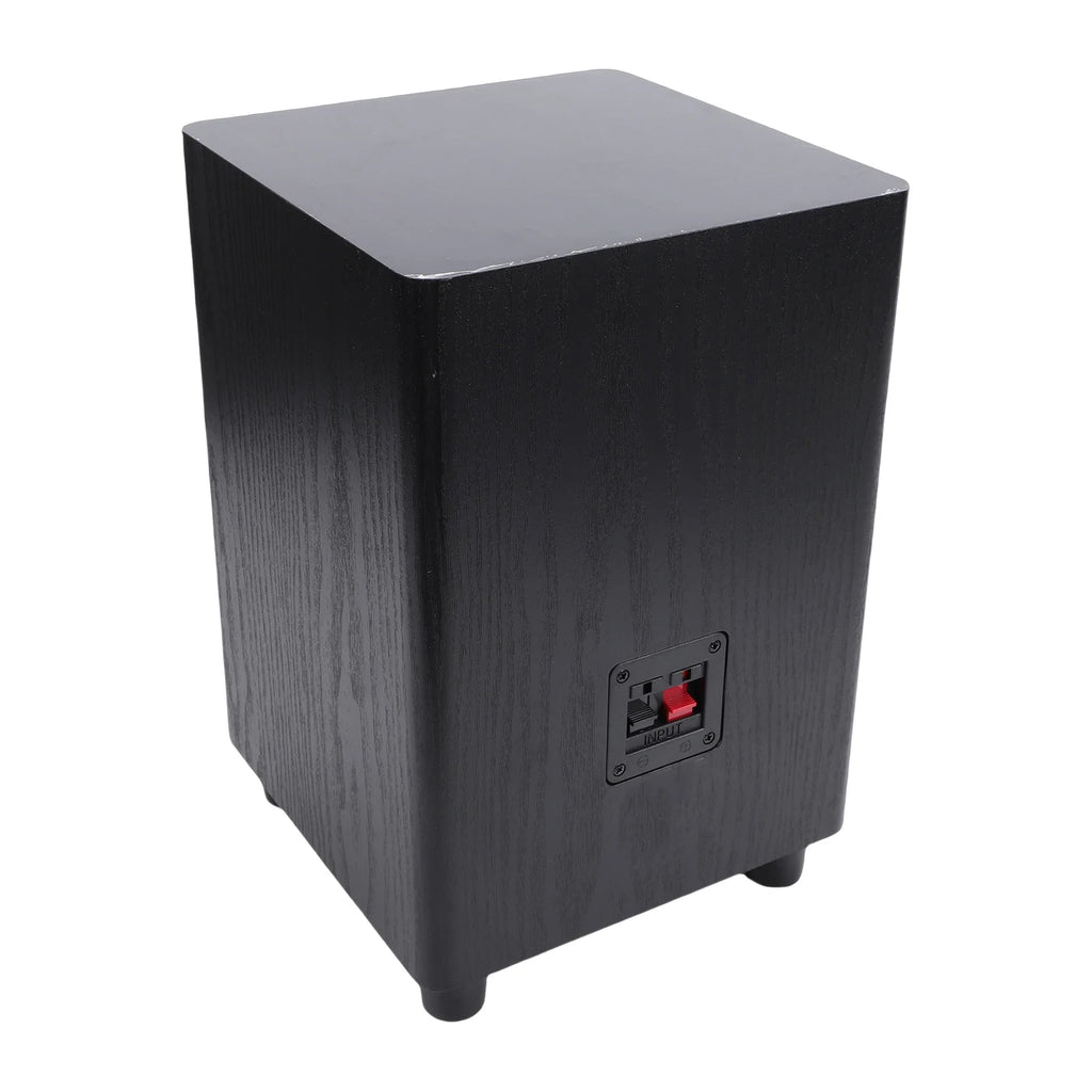 100W Subwoofer 6.5 Inch