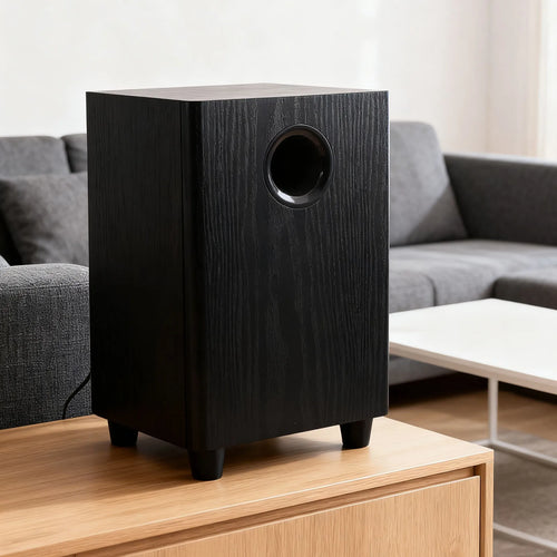 100W Subwoofer 6.5 Inch