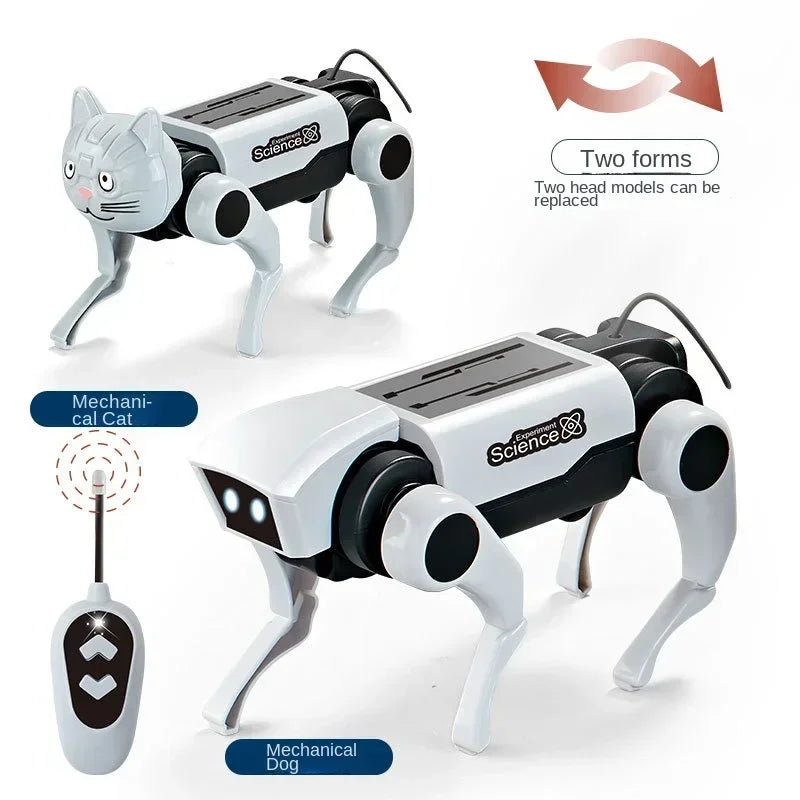 Rc Robot s Interactive Gear