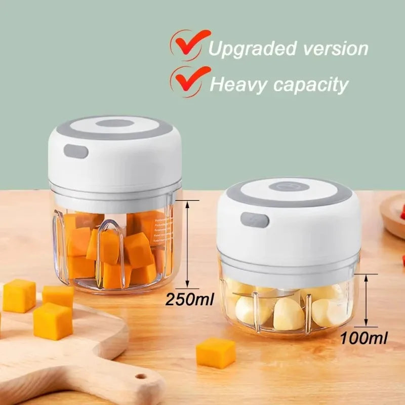 Mini Electric Garlic Chopper 2 Choice Selection
