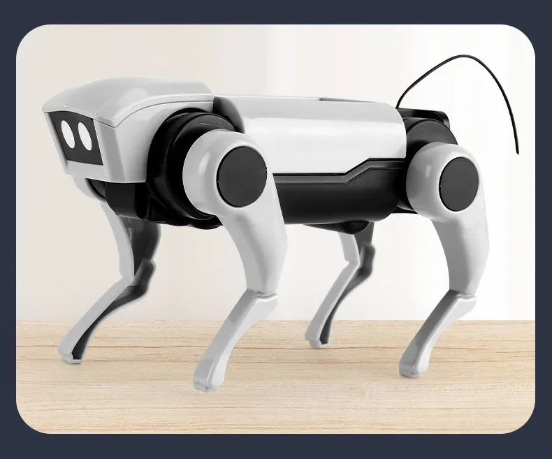 Rc Robot s Interactive Gear
