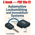 eBook Locksmithing and Immobilizer