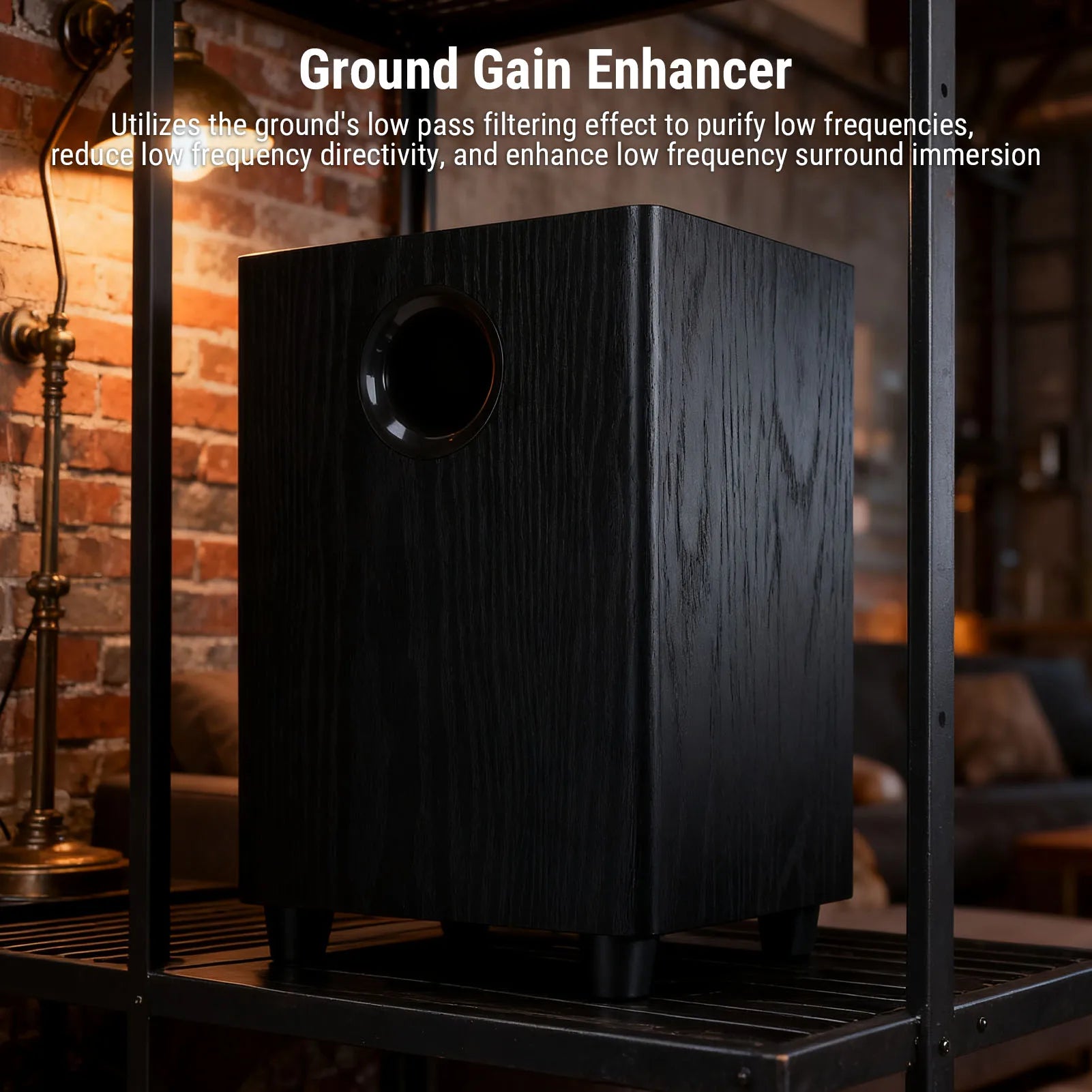 100W Subwoofer 6.5 Inch
