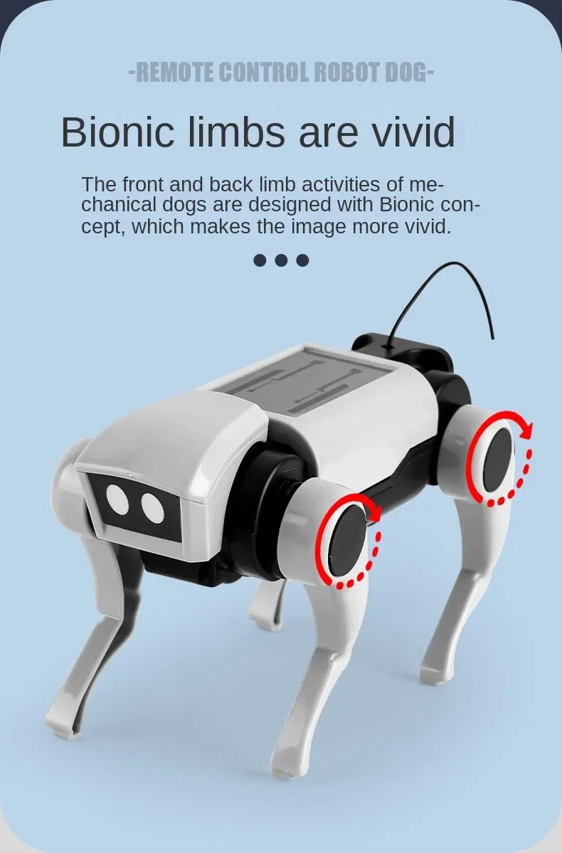Rc Robot s Interactive Gear