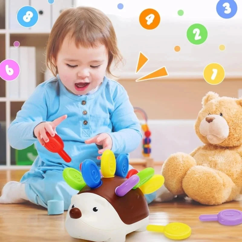 Hedgehog Fine Motor Developmental Tool