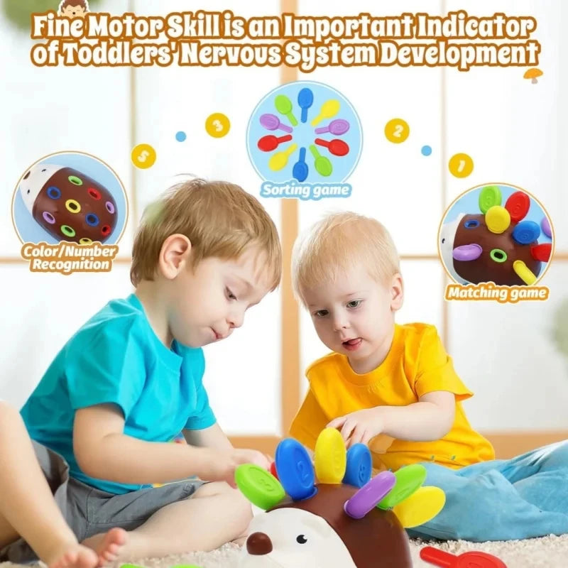 Hedgehog Fine Motor Developmental Tool