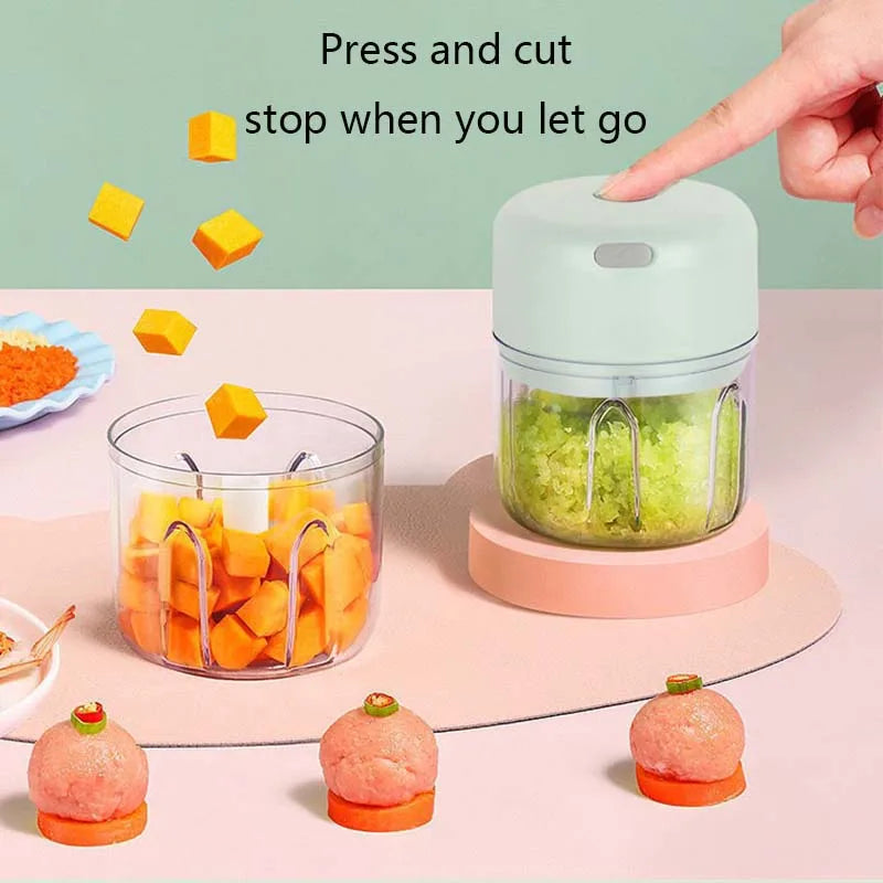 250ML Electric Kitchen Food Chopper Choice Selection