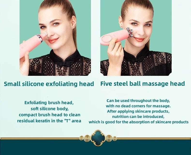 Beauty 4 in Skin Device