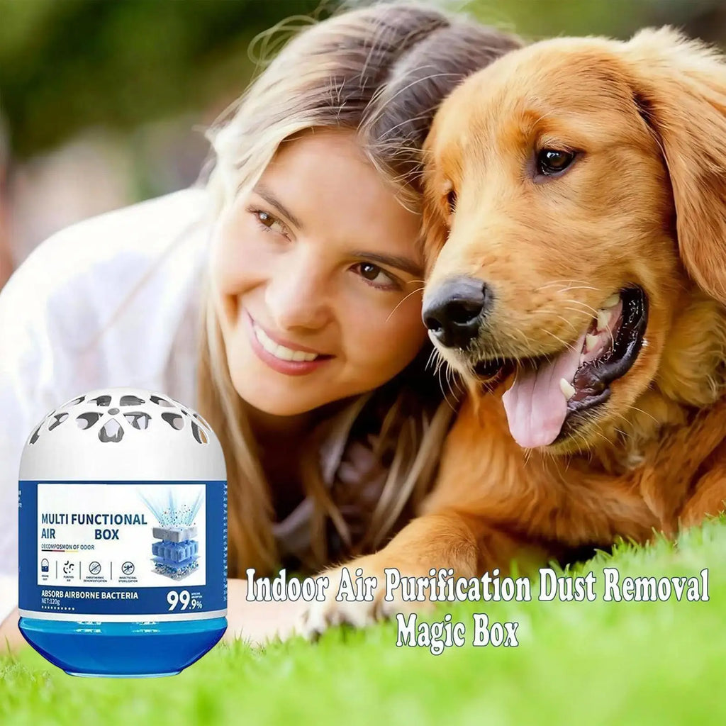 Air Purification Dust Removal