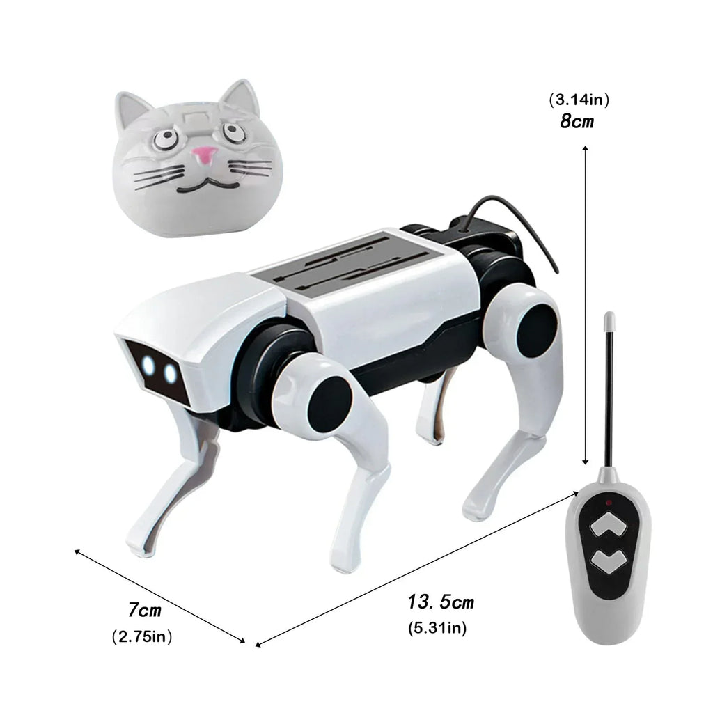 Rc Robot s Interactive Gear