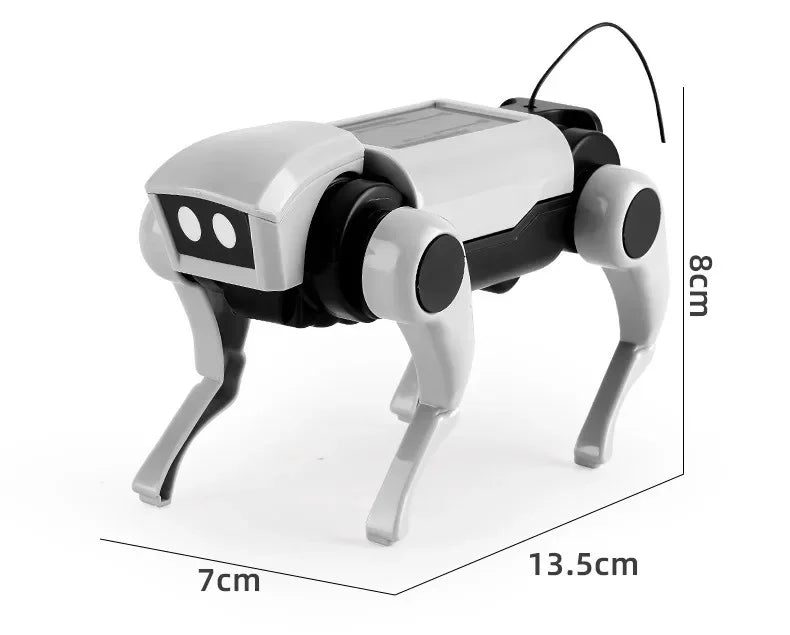 Rc Robot s Interactive Gear
