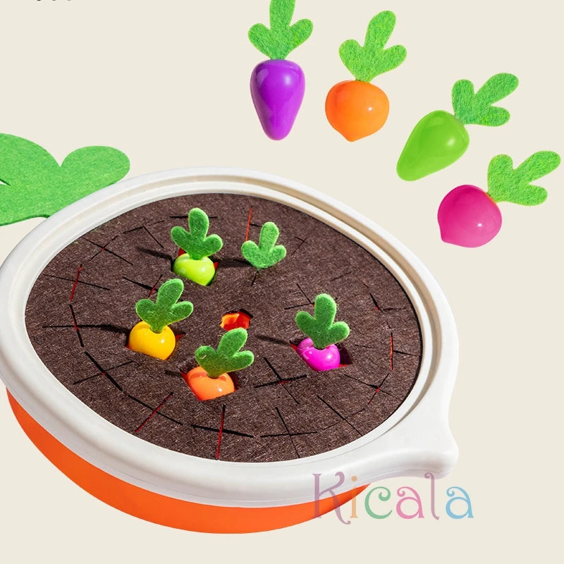 For Colorful Shape Learning Set