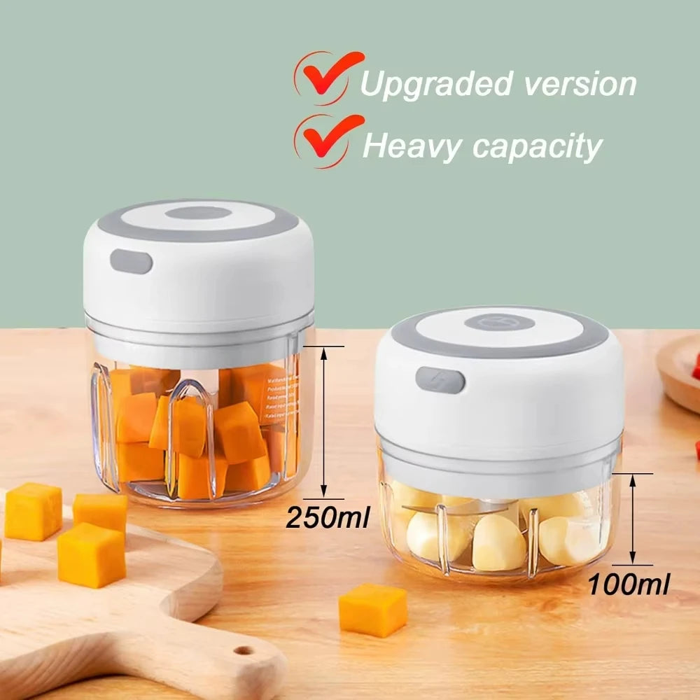 Electric Garlic Mincer 250ML Choice Selection