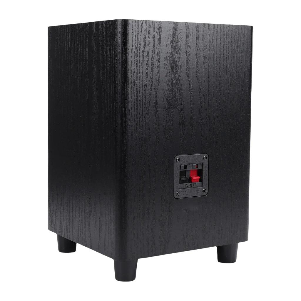 100W Subwoofer 6.5 Inch
