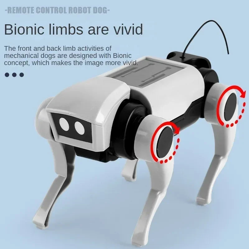 Rc Robot s Interactive Gear