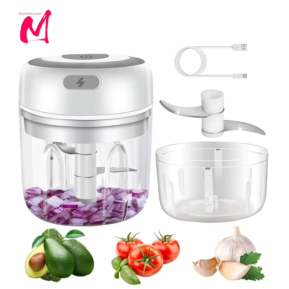 Electric Garlic Mincer 250ML Choice Selection