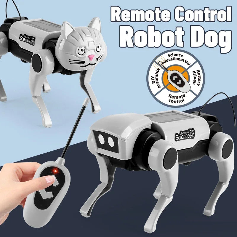 Rc Robot s Interactive Gear