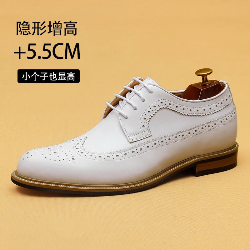 Luxury Dress Genuine Leather Brogue Wingtip T