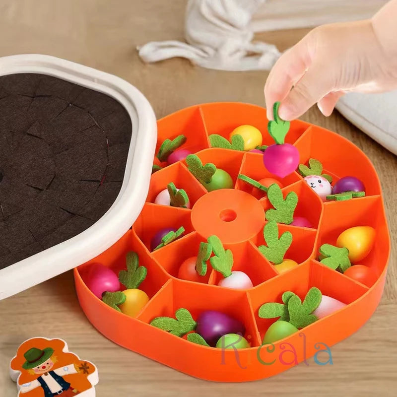 For Colorful Shape Learning Set