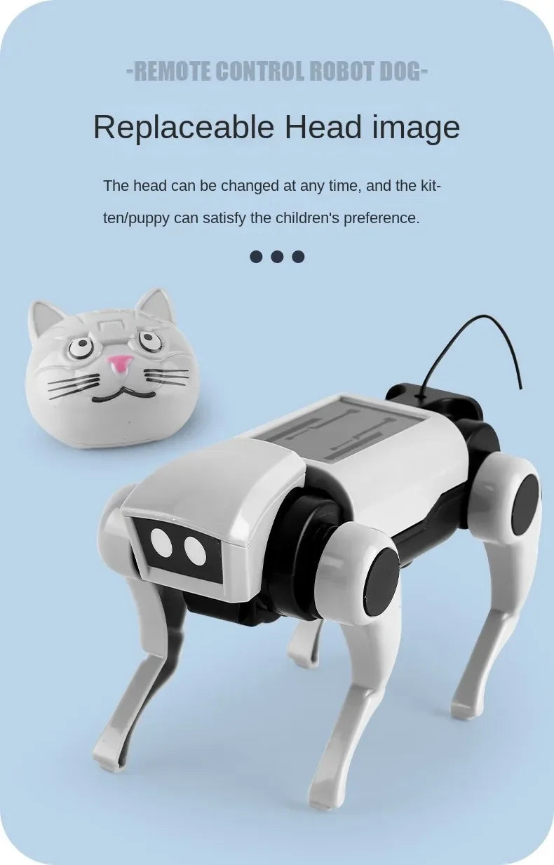 Rc Robot s Interactive Gear